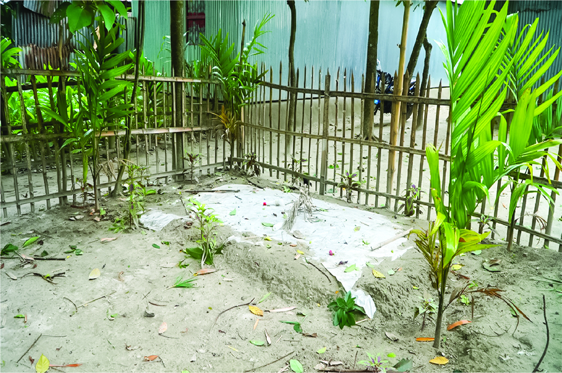 Image of মো: নুর আলম